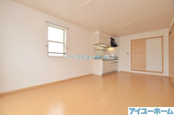 コスモス  その他19