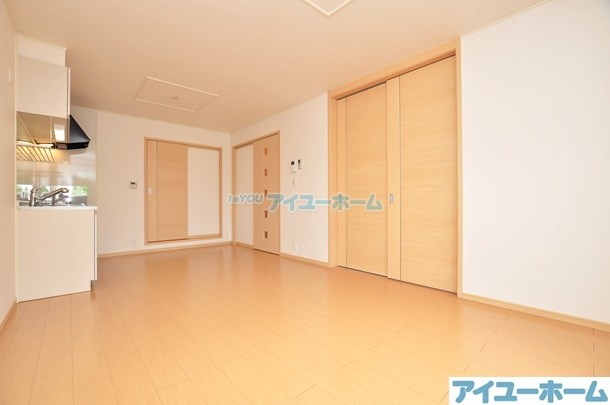 コスモス  その他20