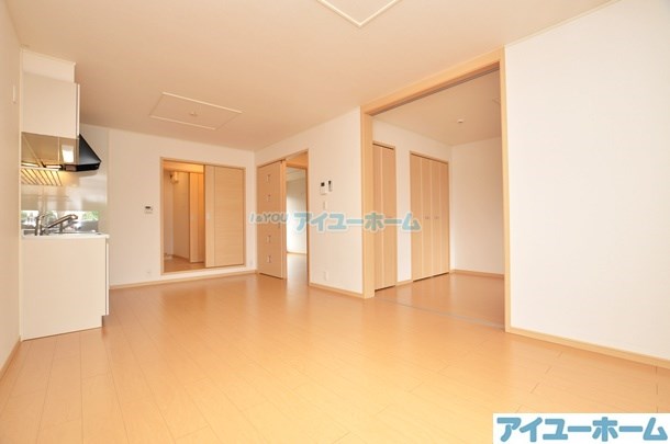 コスモス  その他21