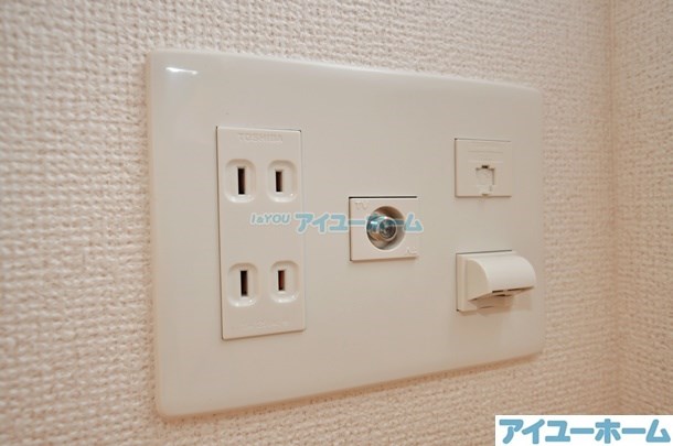 コスモス  その他25