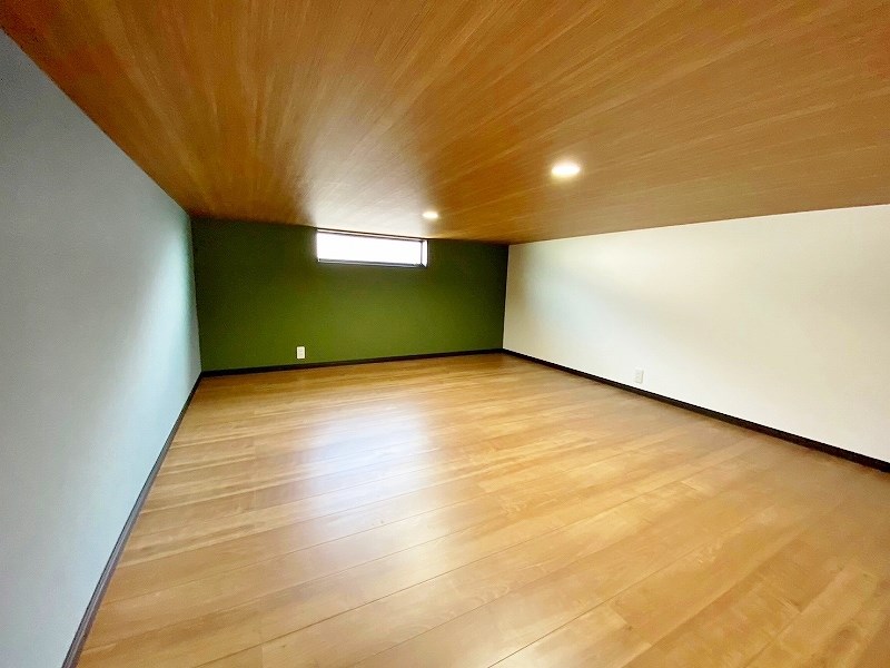 garaxia３８５(ガレッシア385)  その他22