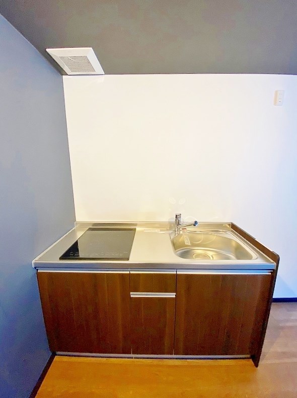 garaxia３８５(ガレッシア385)  その他30