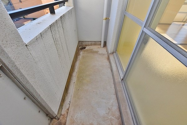 シェーネルボーネン  その他9