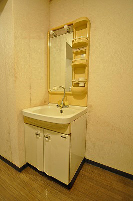 ビブレマンション篠崎(分譲賃貸) その他2