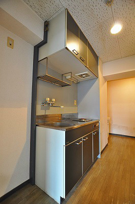 ビブレマンション篠崎(分譲賃貸) キッチン