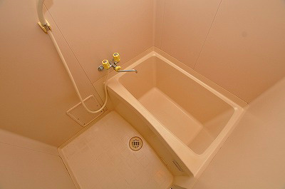 ビブレマンション篠崎(分譲賃貸) 風呂画像