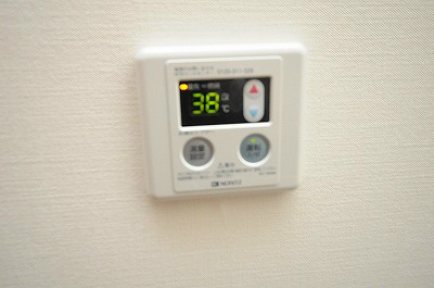 Bergamotto黄金（ベルガモット黄金） その他6