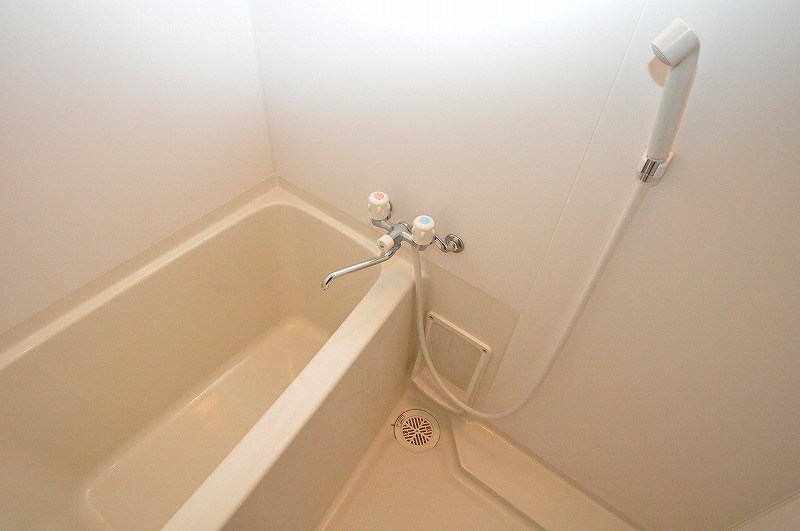 プチシャンティ   風呂画像