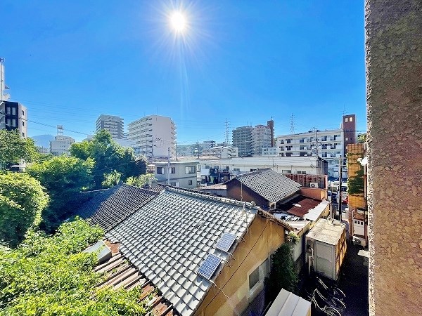 プリモレガーロ金鶏 その他24