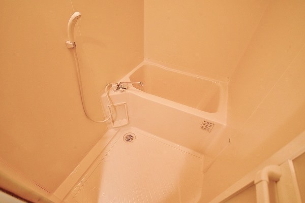 ロイヤルキャッスル  風呂画像