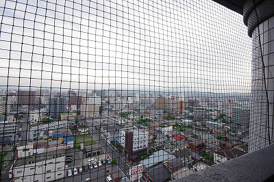 ロイヤルマジェスティ その他6