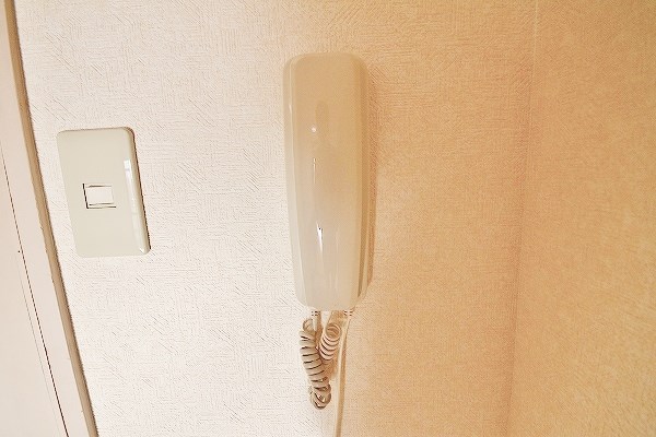 ルネッサンスＴＯＥＩもりつね その他4