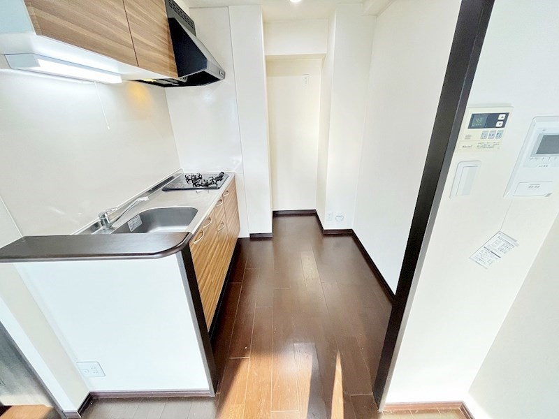 フェリシエ馬借  その他19