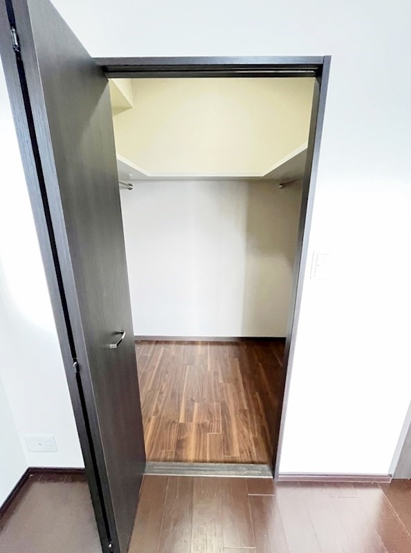 フェリシエ馬借  その他38