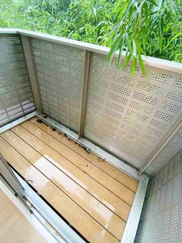 paisible　palais(ペイスブル　パレ) その他40