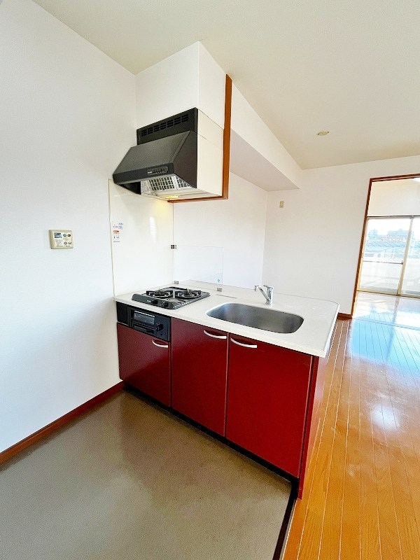 グレイス  その他25