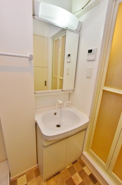 ギャラクシーヴィーラブライト その他1