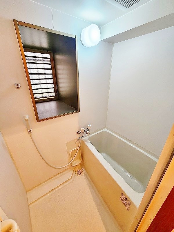 カーザミア その他18