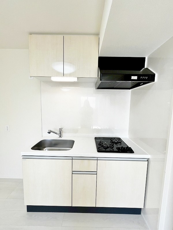 プランドール　リサ  その他12