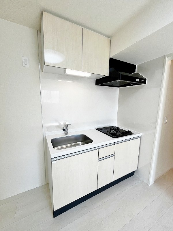 プランドール　リサ  その他15