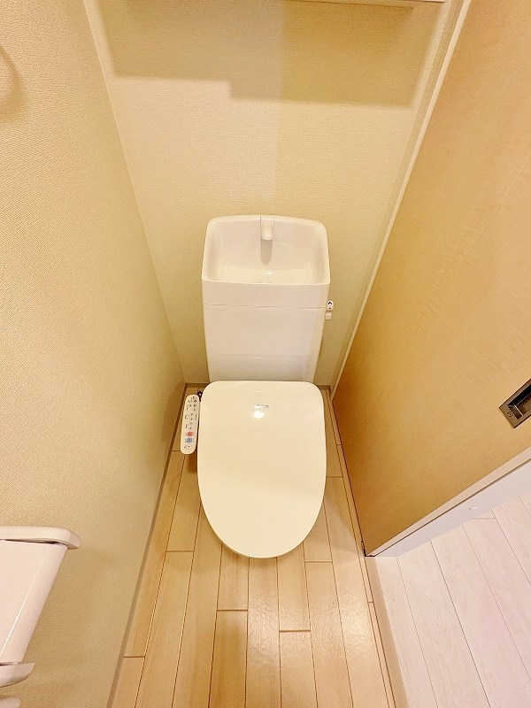 プランドール　リサ  その他12