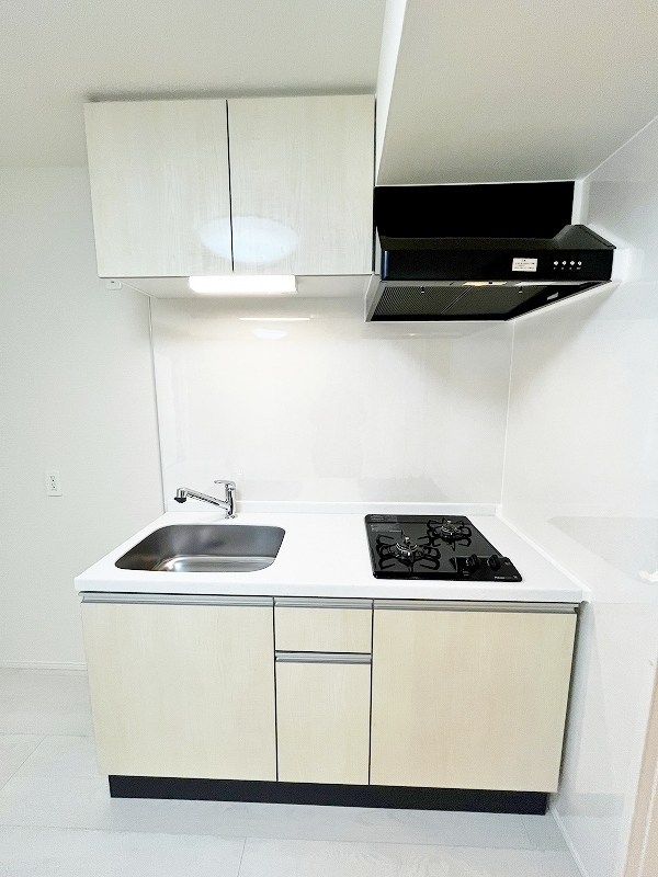 プランドール　リサ  その他14