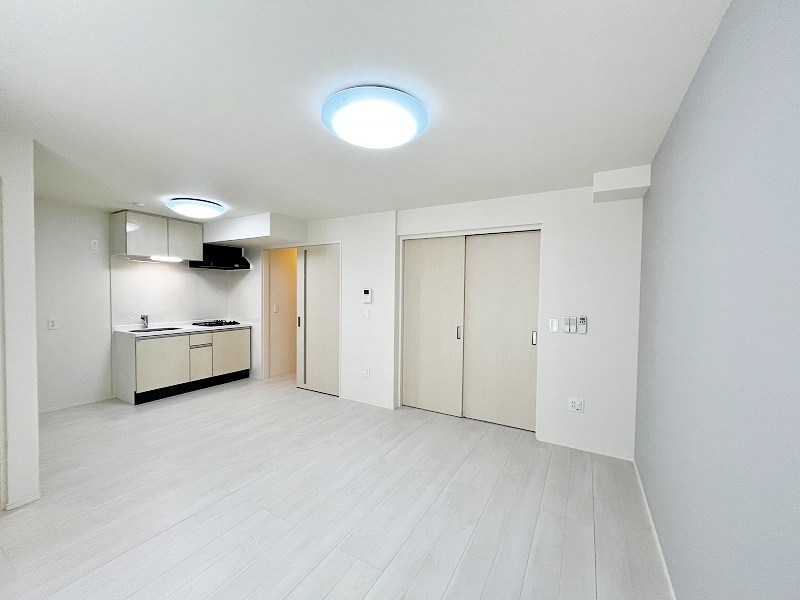 プランドール　リサ  その他42