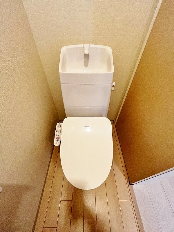 プランドール　リサ  その他12