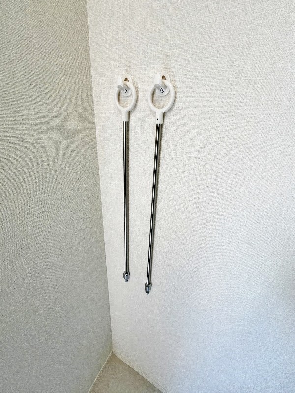 プランドール　リサ  その他30