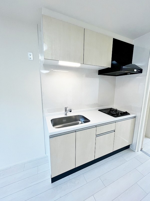 プランドール　リサ  その他22