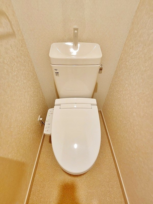 フェルト14  その他15