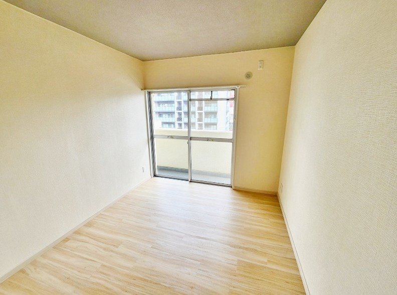 フェルト14  その他29