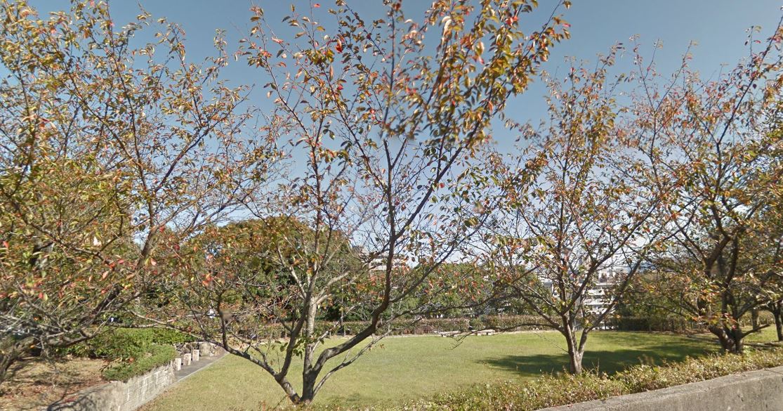 claire　felicite篠崎（クレールフェリシテ） 周辺画像5