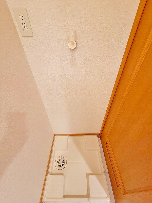 エヴァーグリーンＮ その他27