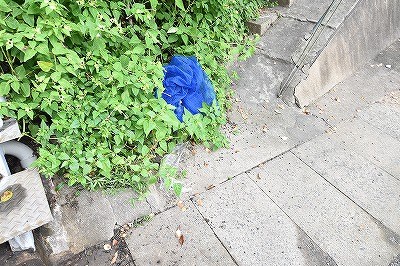 プランドール下富野  その他外観2