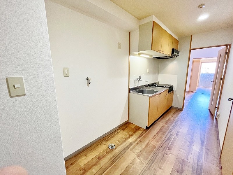 デザイナープリンセス７７ その他12