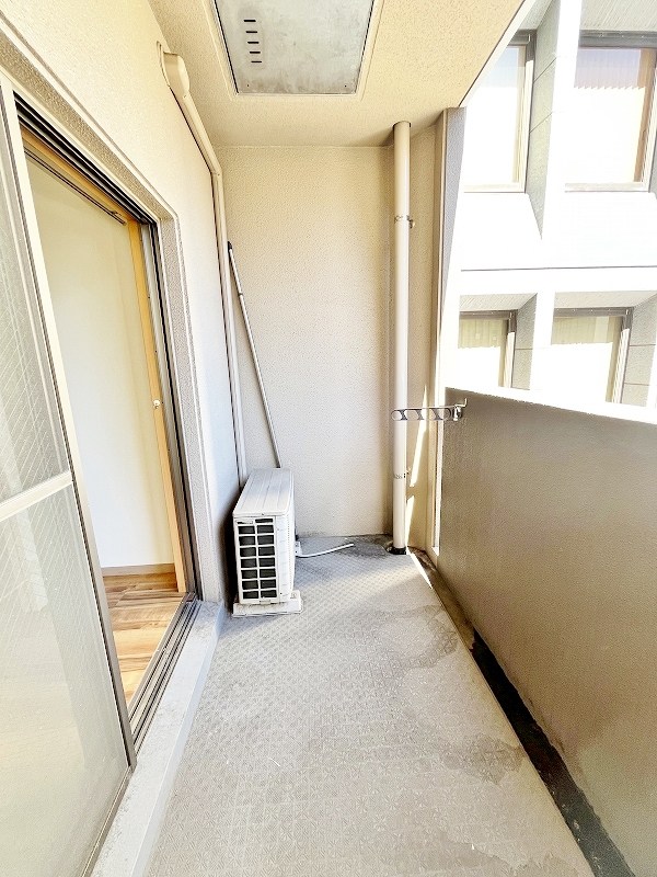 デザイナープリンセス７７ その他34