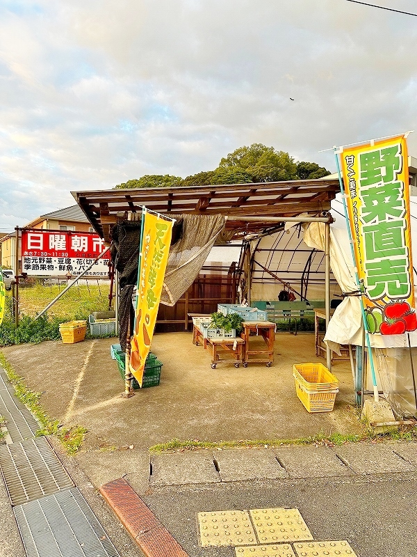 南区下石田2丁目新築アパート　B棟 周辺画像7