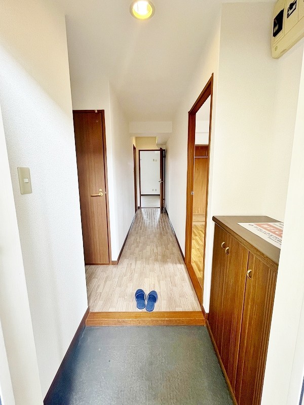 アレックス若園 その他8