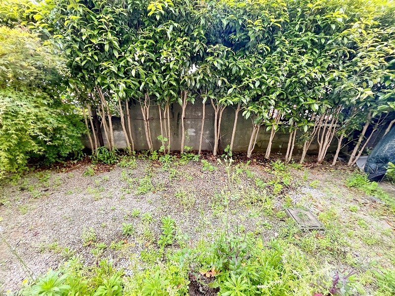 サクセス葛原　Ａ棟 その他18