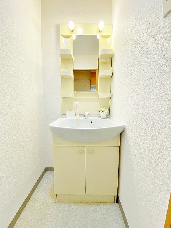 デザイナープリンセス７７ その他1