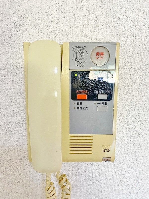 デザイナープリンセス７７ その他3