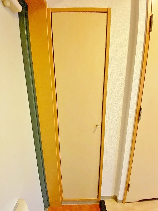 デザイナープリンセス７７ その他13