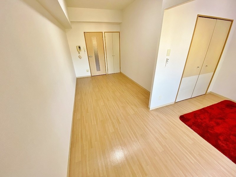 デザイナープリンセス７７ その他26