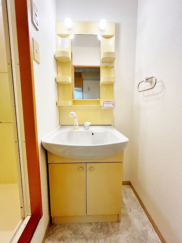 デザイナープリンセス７７ その他1