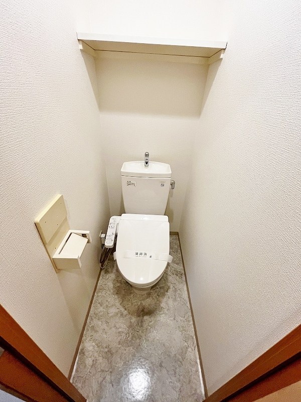 デザイナープリンセス７７ その他2