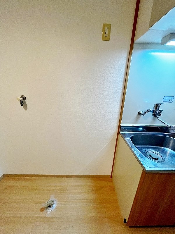 デザイナープリンセス７７ その他14