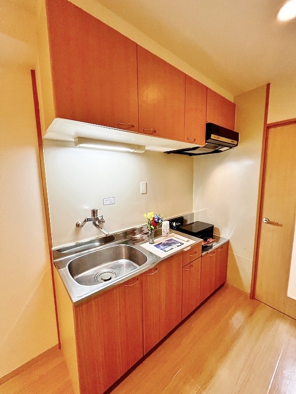 デザイナープリンセス７７ その他15