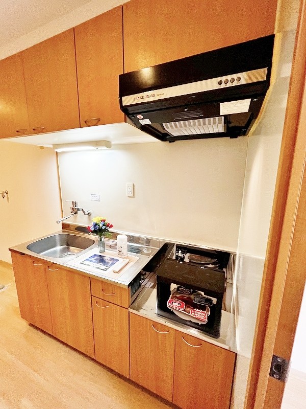 デザイナープリンセス７７ その他22