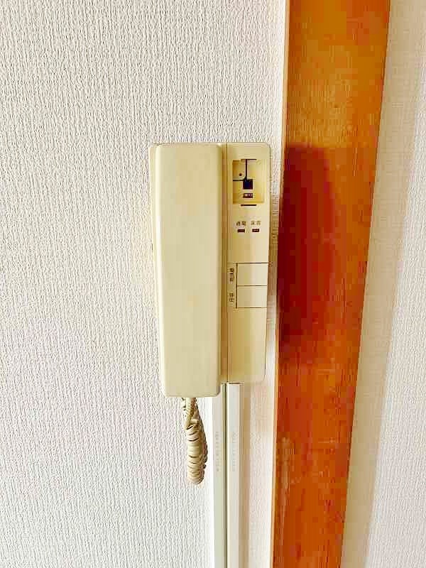 ルミナス その他10